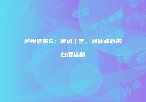 泸州老窖6：传承工艺，品质卓越的白酒佳酿