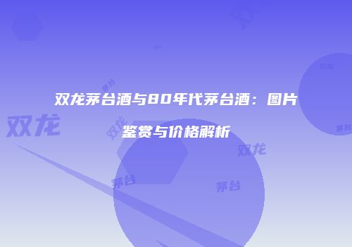双龙茅台酒与80年代茅台酒：图片鉴赏与价格解析