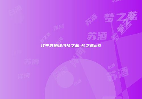 江宁苏酒洋河梦之蓝-梦之蓝m9