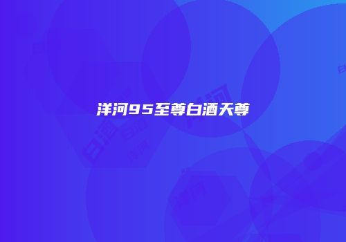 洋河95至尊白酒天尊