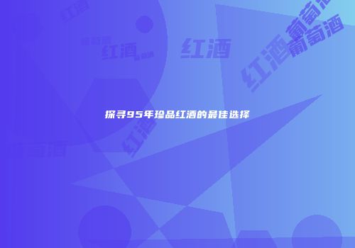 探寻95年珍品红酒的最佳选择