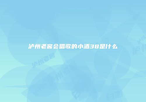 泸州老窖会唱歌的小酒38是什么