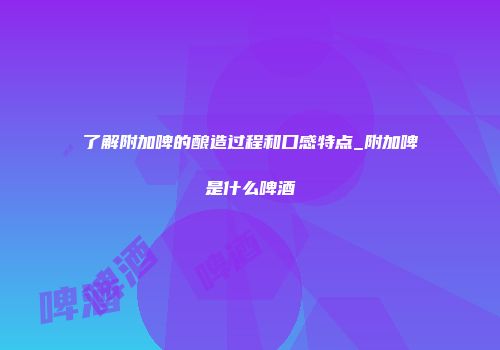 了解附加啤的酿造过程和口感特点_附加啤是什么啤酒