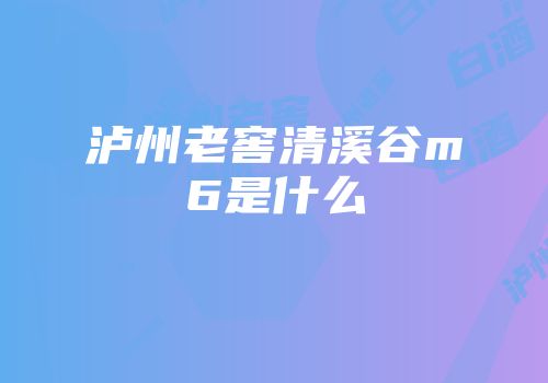 泸州老窖清溪谷m6是什么