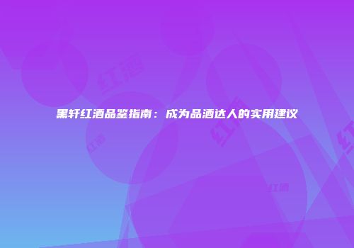 黑轩红酒品鉴指南：成为品酒达人的实用建议