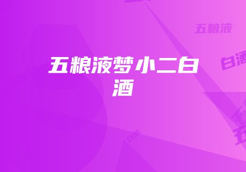 五粮液梦小二白酒
