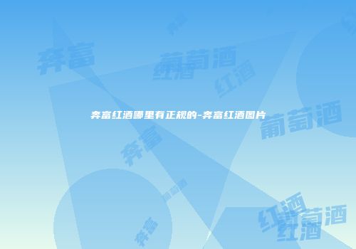 奔富红酒哪里有正规的-奔富红酒图片