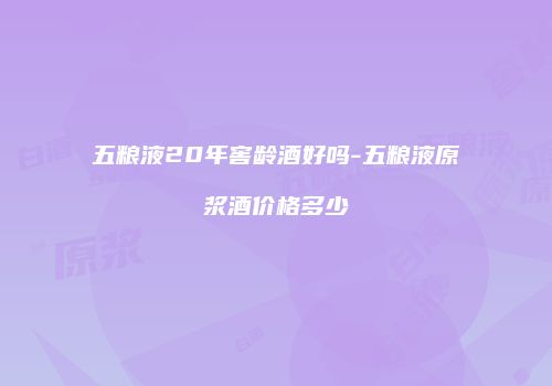 五粮液20年窖龄酒好吗-五粮液原浆酒价格多少