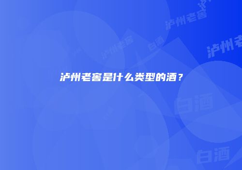 泸州老窖是什么类型的酒？