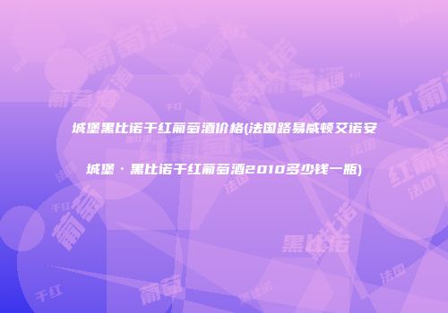 城堡黑比诺干红葡萄酒价格(法国路易威顿艾诺安城堡·黑比诺干红葡萄酒2010多少钱一瓶)