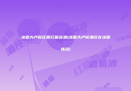 法国大卢梭庄园红葡萄酒(法国大卢梭酒庄在法国排名)