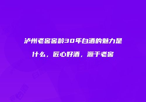 泸州老窖窖龄30年白酒的魅力是什么，匠心好酒，源于老窖