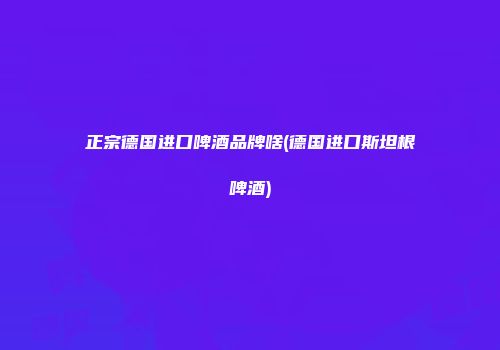 正宗德国进口啤酒品牌啥(德国进口斯坦根啤酒)