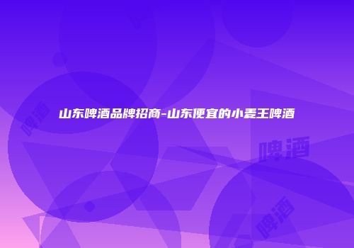 山东啤酒品牌招商-山东便宜的小麦王啤酒