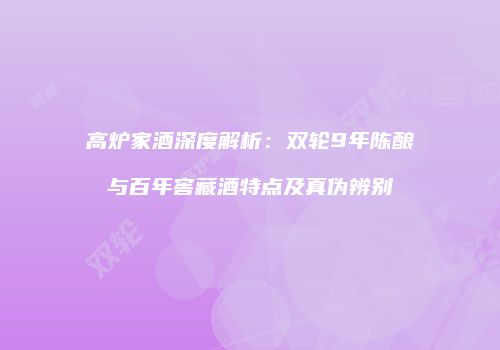 高炉家酒深度解析：双轮9年陈酿与百年窖藏酒特点及真伪辨别