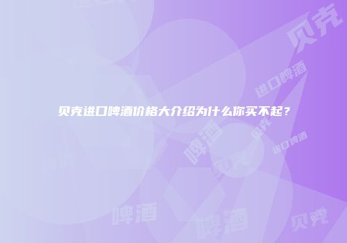 贝克进口啤酒价格大介绍为什么你买不起？