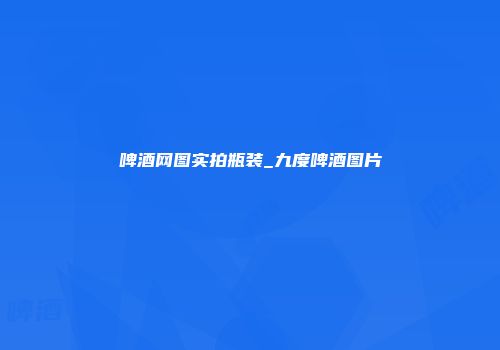 啤酒网图实拍瓶装_九度啤酒图片