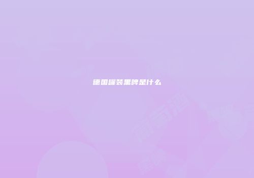 德国罐装黑啤是什么