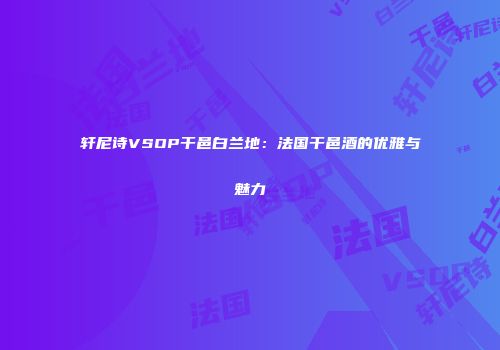 轩尼诗VSOP干邑白兰地：法国干邑酒的优雅与魅力