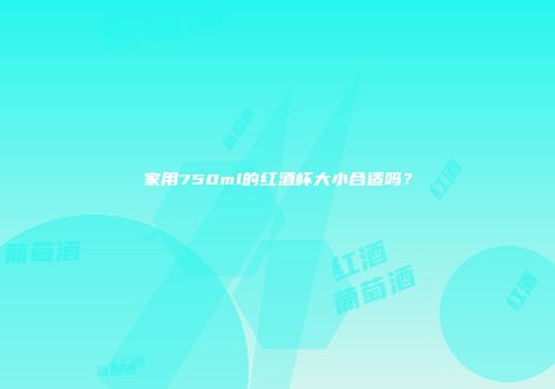 家用750ml的红酒杯大小合适吗？