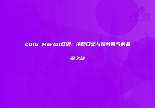 2016 Merlot红酒：浓郁口感与独特香气的品鉴之旅