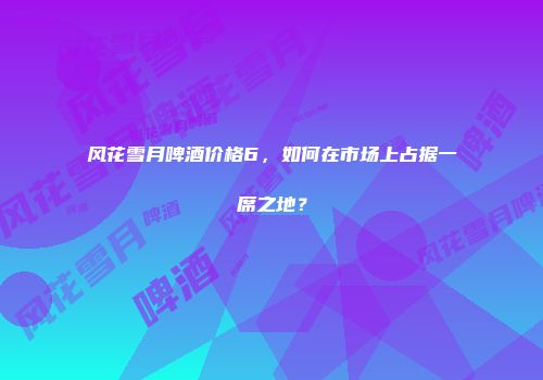 风花雪月啤酒价格6，如何在市场上占据一席之地？