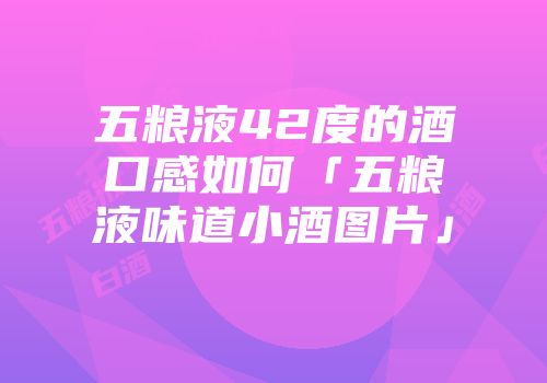 五粮液42度的酒口感如何「五粮液味道小酒图片」