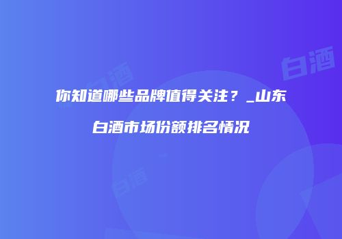 你知道哪些品牌值得关注？_山东白酒市场份额排名情况