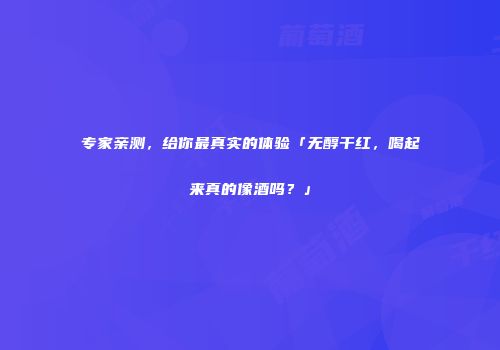 专家亲测，给你最真实的体验「无醇干红，喝起来真的像酒吗？」