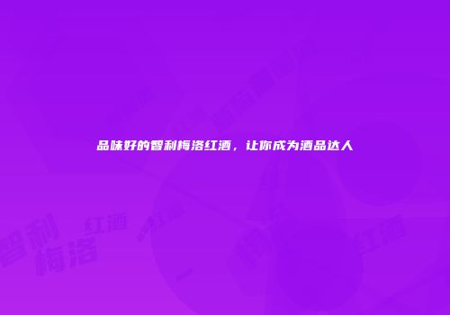 品味好的智利梅洛红酒，让你成为酒品达人