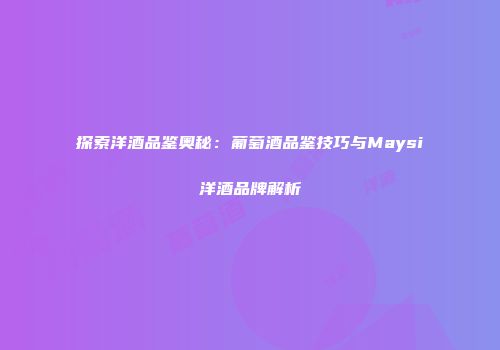 探索洋酒品鉴奥秘：葡萄酒品鉴技巧与Maysi洋酒品牌解析