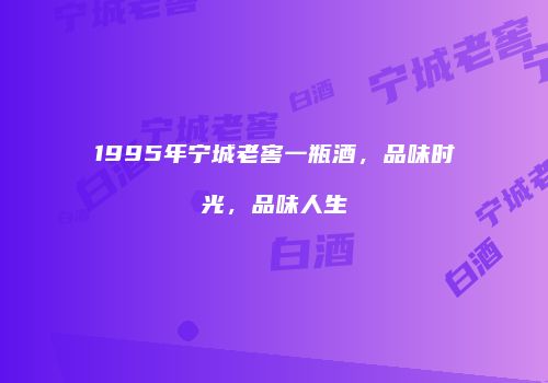 1995年宁城老窖一瓶酒，品味时光，品味人生