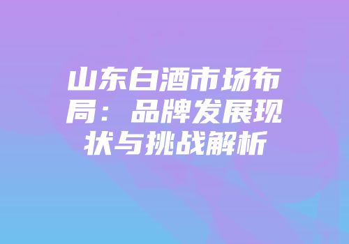 山东白酒市场布局：品牌发展现状与挑战解析