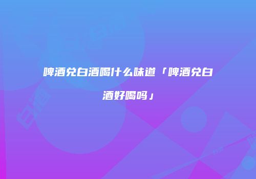 啤酒兑白酒喝什么味道「啤酒兑白酒好喝吗」