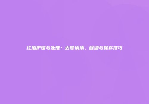 红酒护理与处理：去除渍渍、醒酒与保存技巧