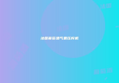法国葡萄酒气囊压榨机