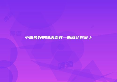 中国最好的啤酒麦芽一瓶就让你爱上