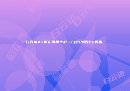 白云边VS稻花香哪个好「白云边是什么香型」