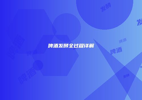 啤酒发酵全过程详解
