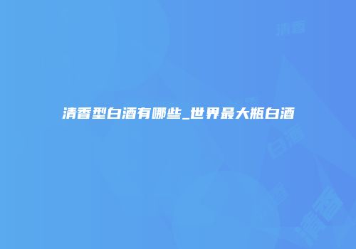 清香型白酒有哪些_世界最大瓶白酒