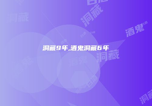 洞藏9年,酒鬼洞藏6年