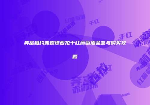 奔富相约赤霞珠西拉干红葡萄酒品鉴与购买攻略