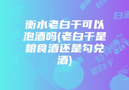衡水老白干可以泡酒吗(老白干是粮食酒还是勾兑酒)