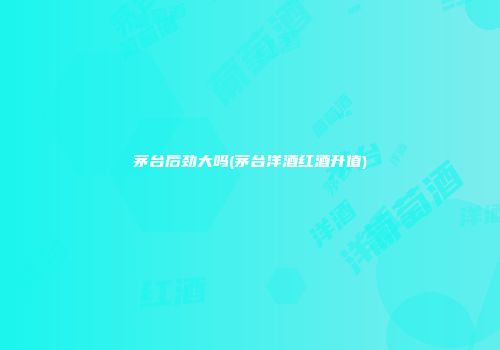 茅台后劲大吗(茅台洋酒红酒升值)