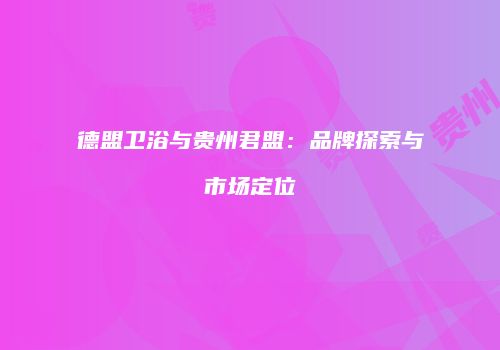 德盟卫浴与贵州君盟：品牌探索与市场定位