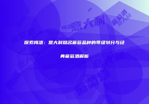 探索梅洛：意大利知名葡萄品种的等级划分与经典葡萄酒解析