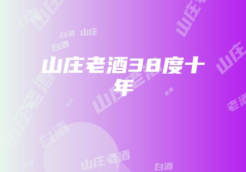 山庄老酒38度十年