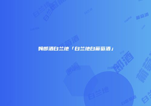 姆郎酒白兰地「白兰地白葡萄酒」