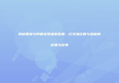揭秘智利与阿根廷顶级葡萄酒：红灵魂庄园与珍藏的价值与故事