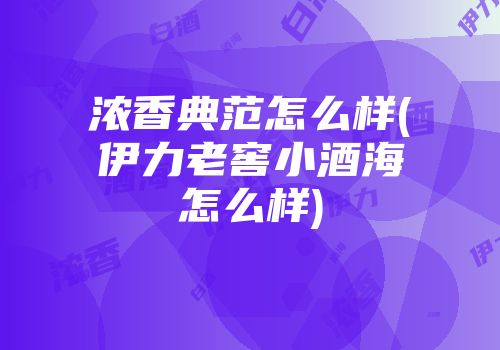 浓香典范怎么样(伊力老窖小酒海怎么样)